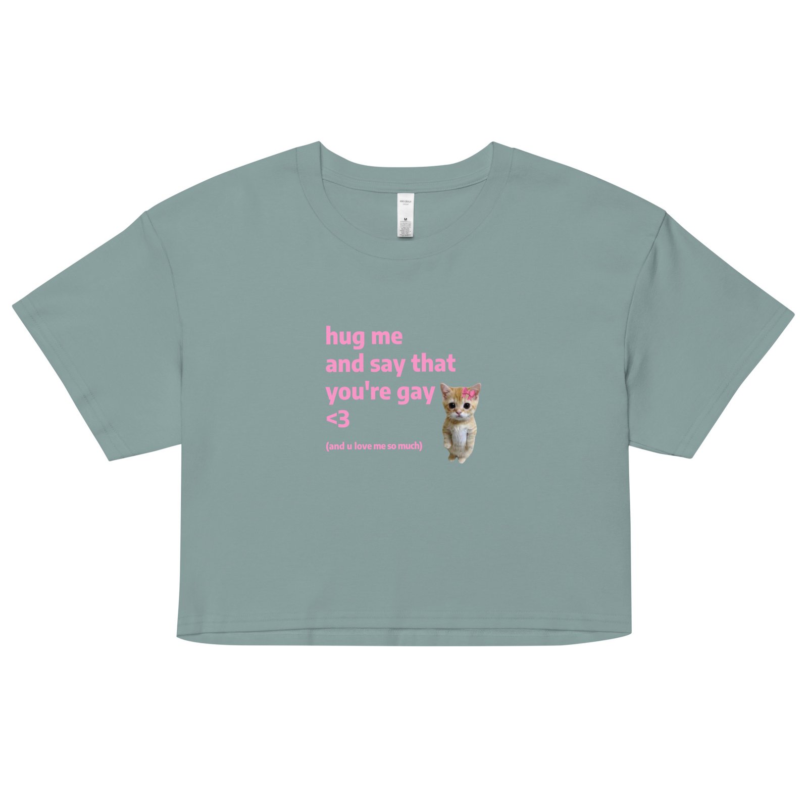 Hug Me and Say That Youre Gay and You Love Me Y2K Baby Tee | Queer Crybaby Cropped Top | Gay Sadgirl Meme Tee - Image 4