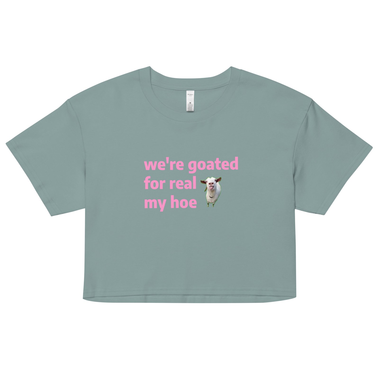 We're Goated Y2K Baby Tee | Legendary Girl Retro Cropped Top | Alt Meme Certified Top - Image 3