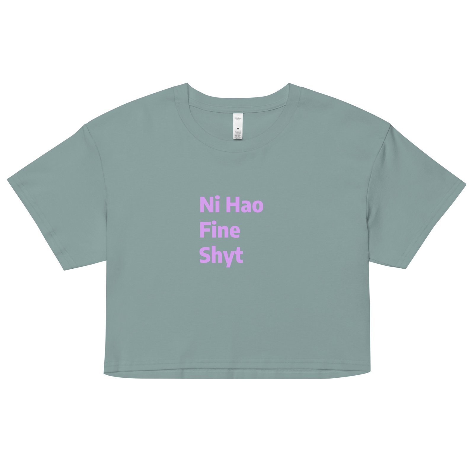 Ni Hao Fine Shyt Y2K Baby Tee | Bilingual Baddie Retro Cropped Top | International Rizz Meme Tee - Image 3