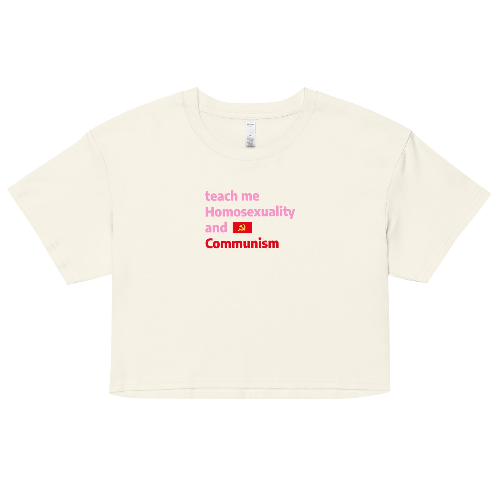 Teach Me Homosexuality and Communism Y2K Baby Tee | Gay Leftist Slut Retro Cropped Top | Educated and Horny Meme Tee - Image 15