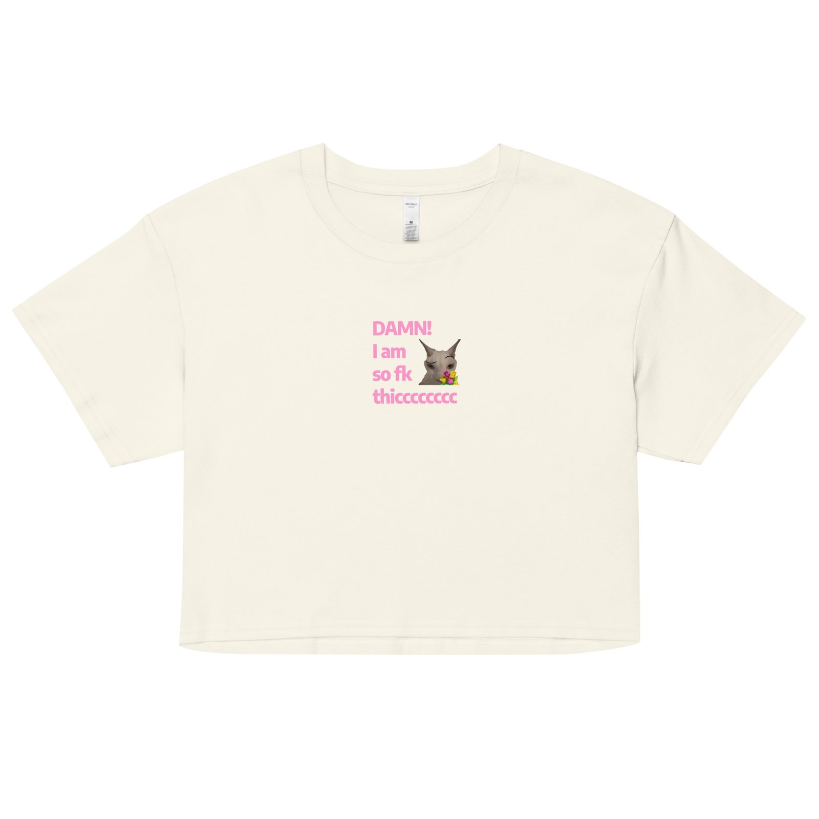 Damn Im So Fk Thicc Y2K Baby Tee | Dump Truck Baddie Retro Cropped Top | Full Body Meme Moment Tee - Image 15