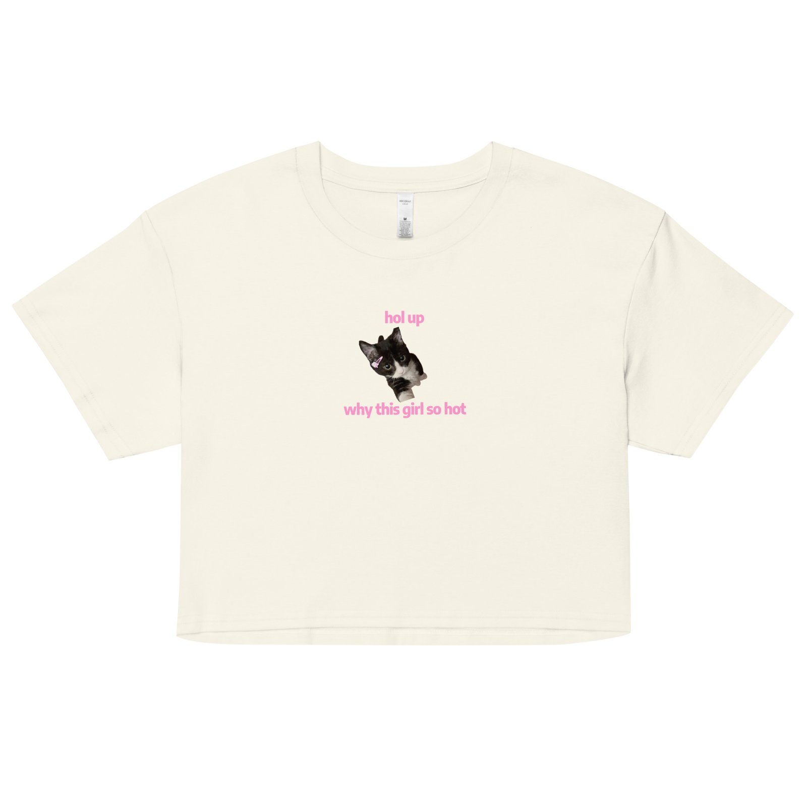 Hol Up Why This Girl So Hot Y2K Baby Tee | Rizz Activated Retro Cropped Top | You're the Problem Meme Tee - Image 15