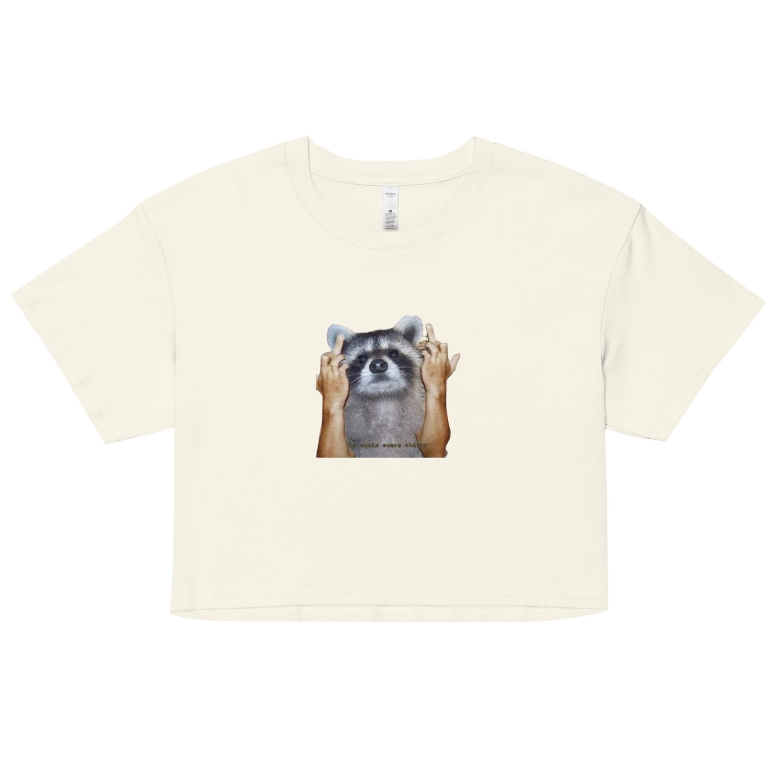 Fuck You Raccoon Y2K Baby Tee | Trash Animal Rage Retro Cropped Top | Angry Rodentcore Girl Tee - Image 16