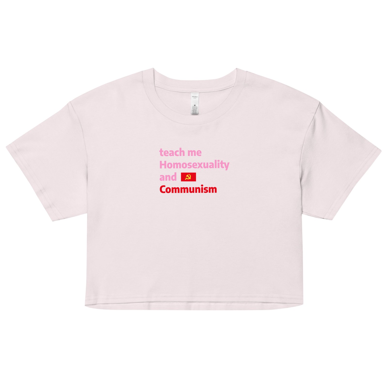 Teach Me Homosexuality and Communism Y2K Baby Tee | Gay Leftist Slut Retro Cropped Top | Educated and Horny Meme Tee - Image 13