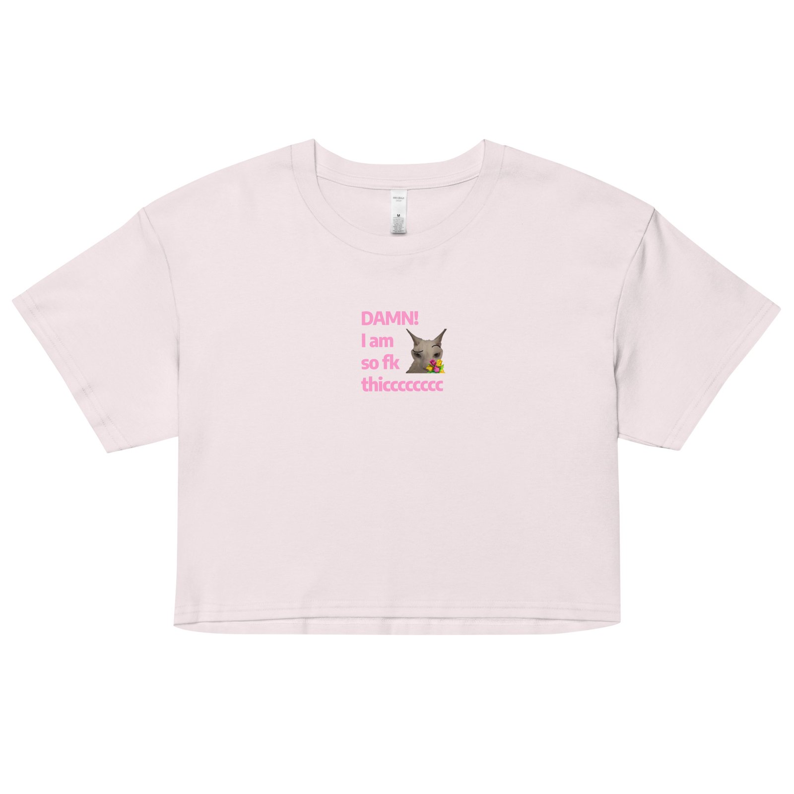 Damn Im So Fk Thicc Y2K Baby Tee | Dump Truck Baddie Retro Cropped Top | Full Body Meme Moment Tee - Image 13