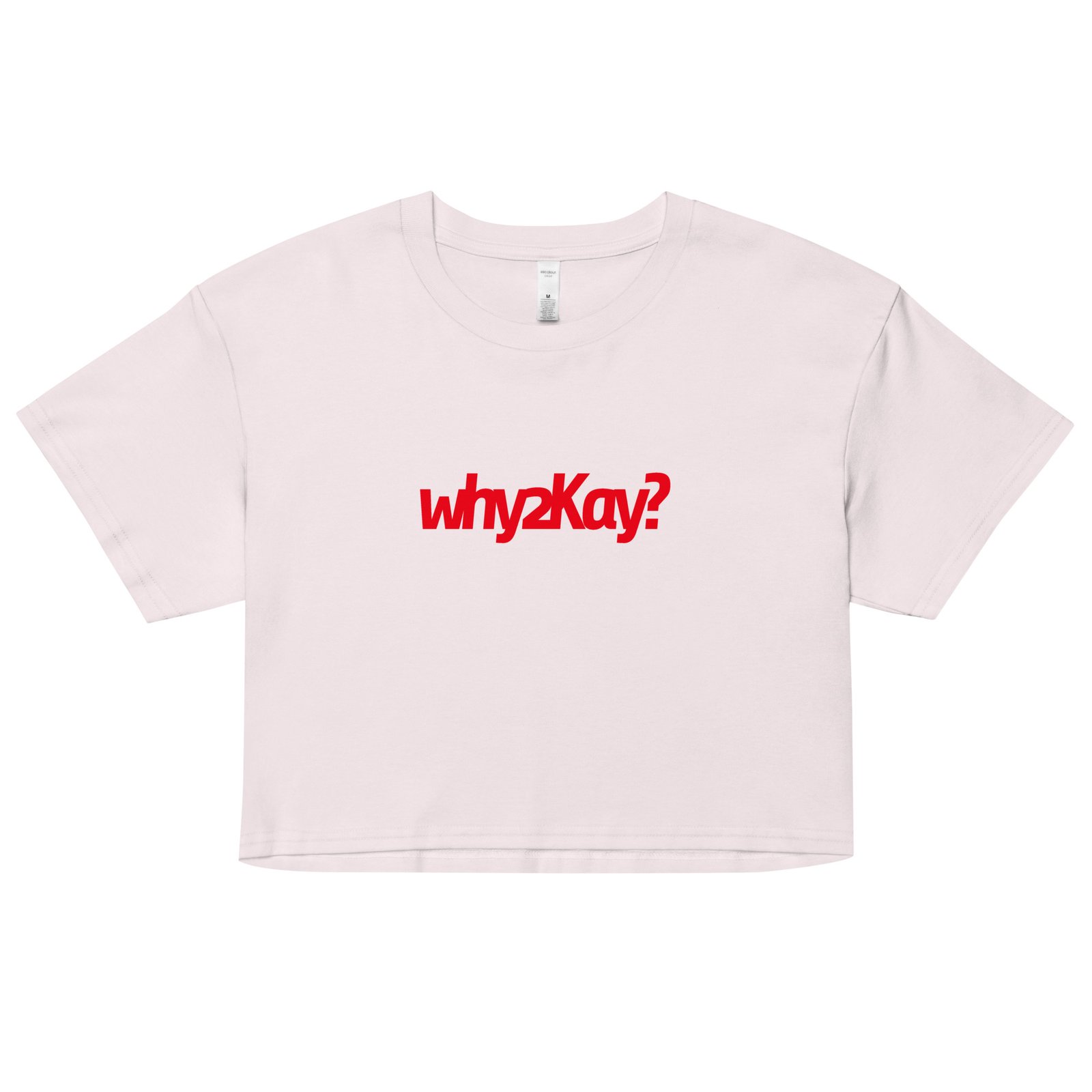 Why2Kay Y2K Baby Tee | Y2K Reboot Girl Retro Cropped Top | Why2Kay Energy Alt-Girl Tee - Image 13