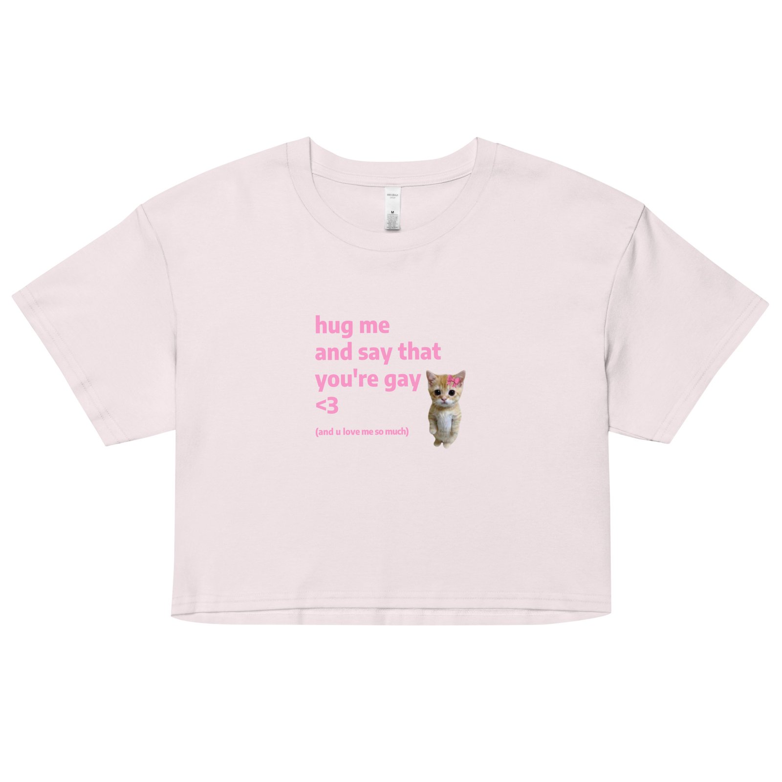 Hug Me and Say That Youre Gay and You Love Me Y2K Baby Tee | Queer Crybaby Cropped Top | Gay Sadgirl Meme Tee - Image 14