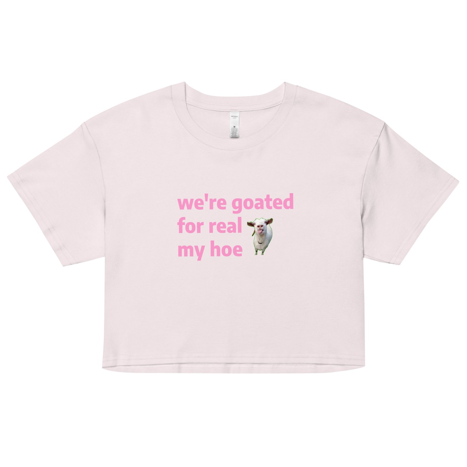 We're Goated Y2K Baby Tee | Legendary Girl Retro Cropped Top | Alt Meme Certified Top - Image 13