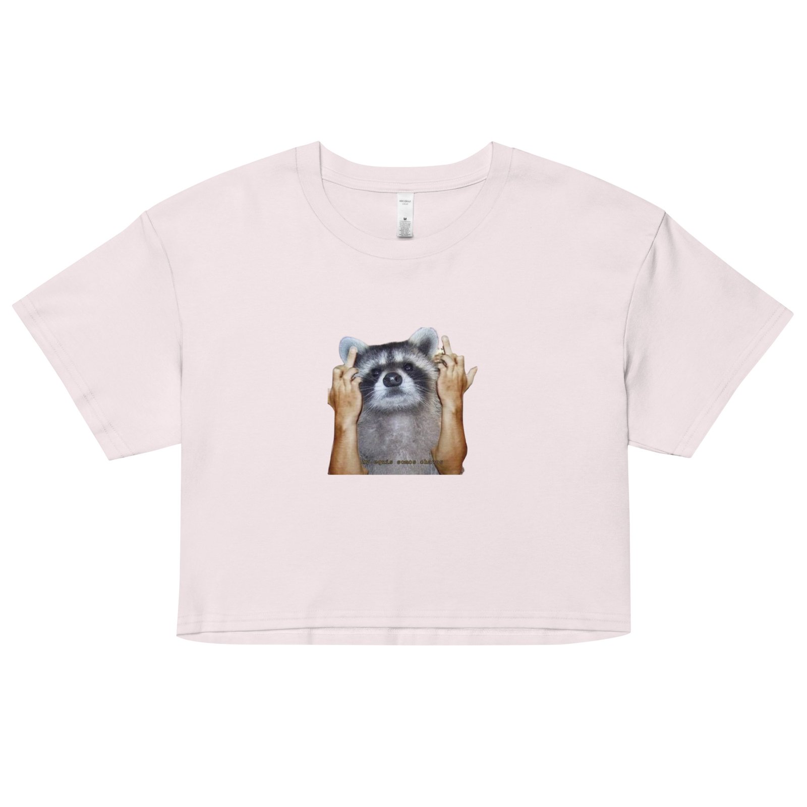 Fuck You Raccoon Y2K Baby Tee | Trash Animal Rage Retro Cropped Top | Angry Rodentcore Girl Tee - Image 14