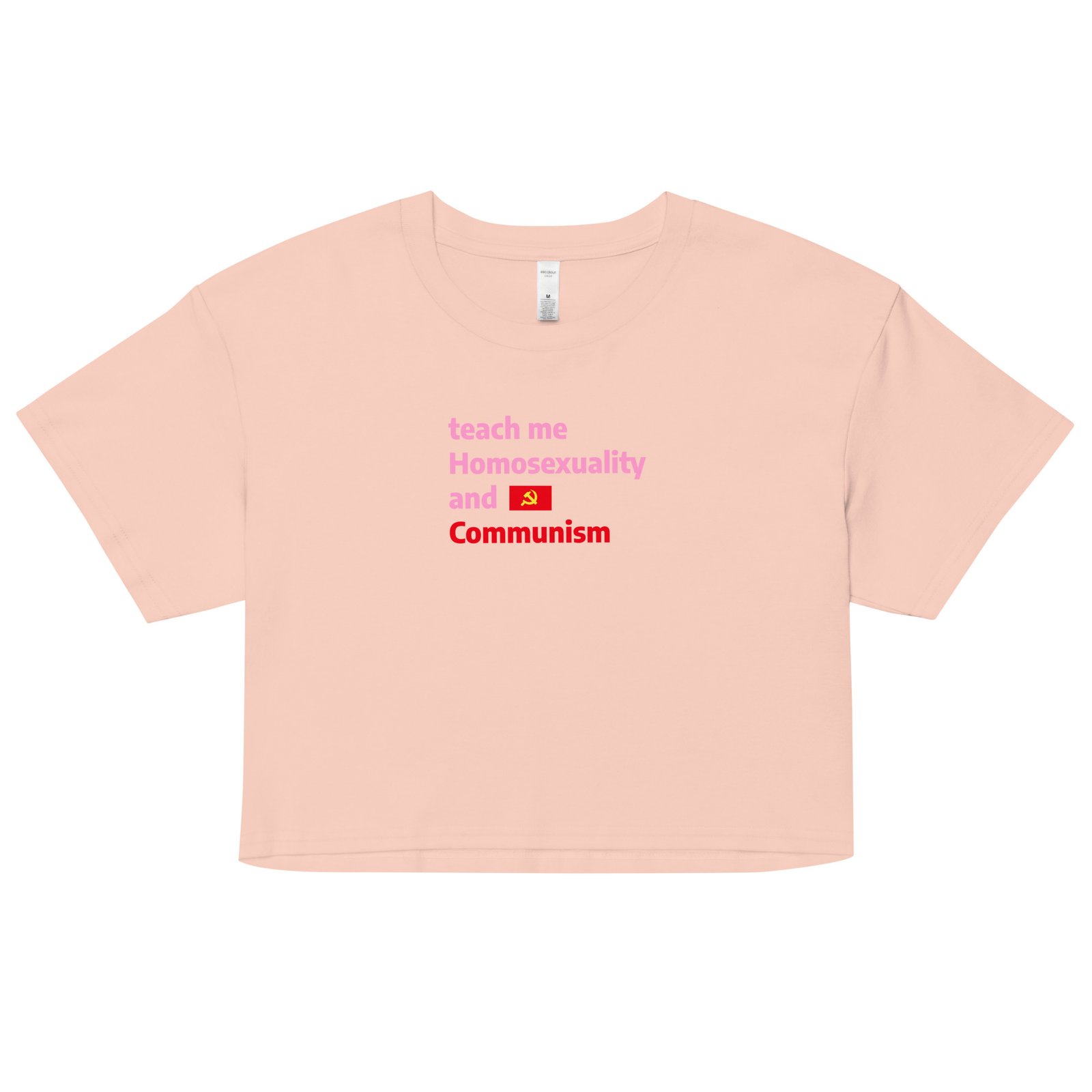 Teach Me Homosexuality and Communism Y2K Baby Tee | Gay Leftist Slut Retro Cropped Top | Educated and Horny Meme Tee - Image 9