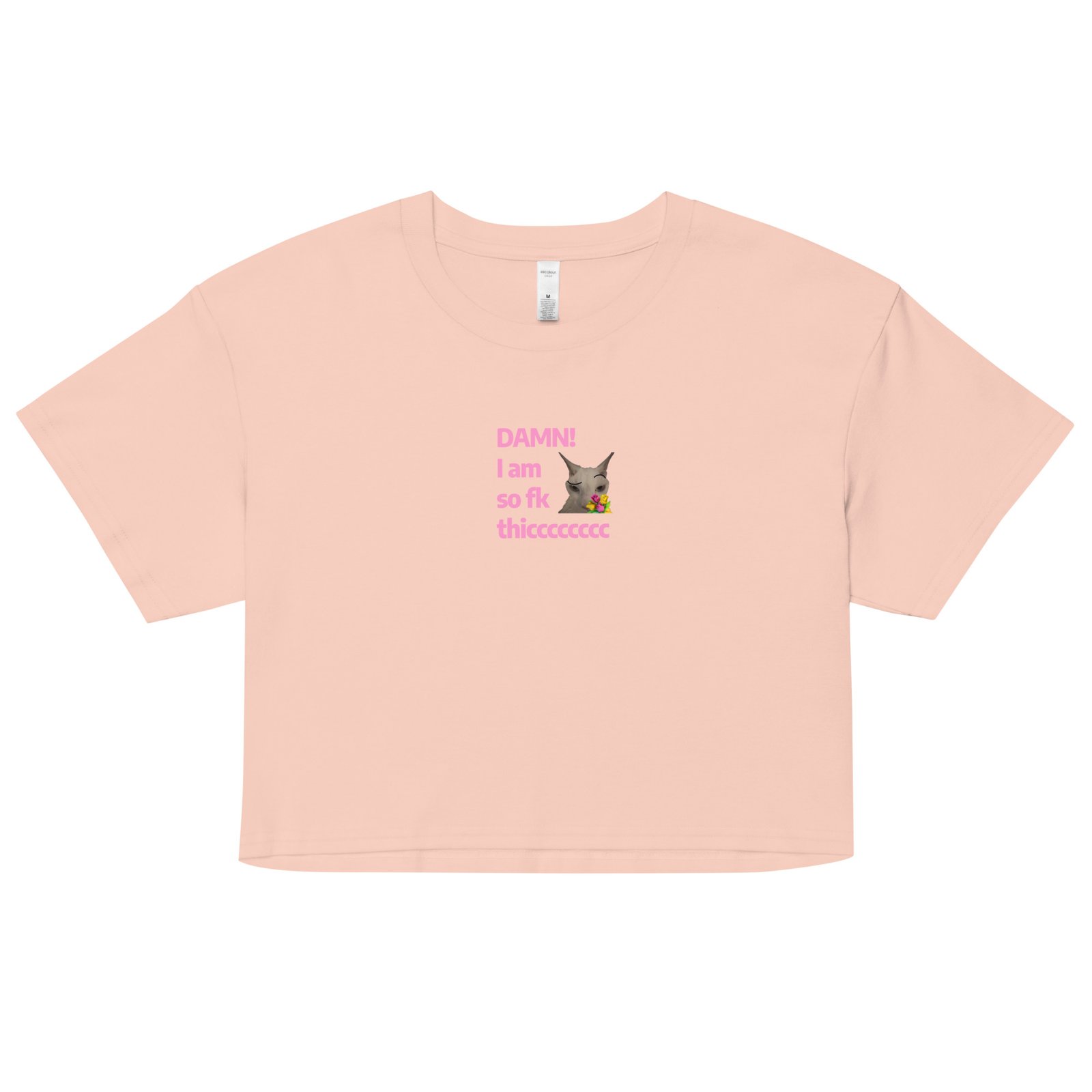 Damn Im So Fk Thicc Y2K Baby Tee | Dump Truck Baddie Retro Cropped Top | Full Body Meme Moment Tee - Image 9