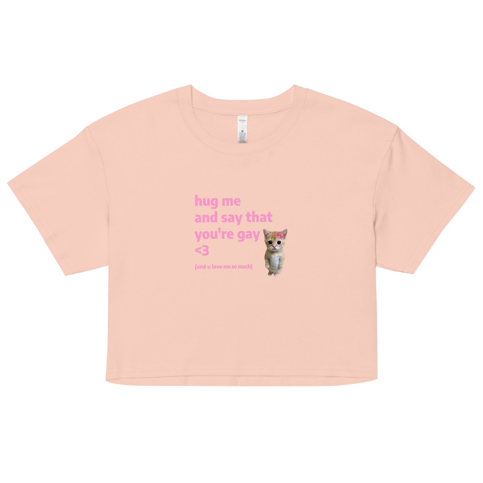 Hug Me and Say That Youre Gay and You Love Me Y2K Baby Tee | Queer Crybaby Cropped Top | Gay Sadgirl Meme Tee - Image 10