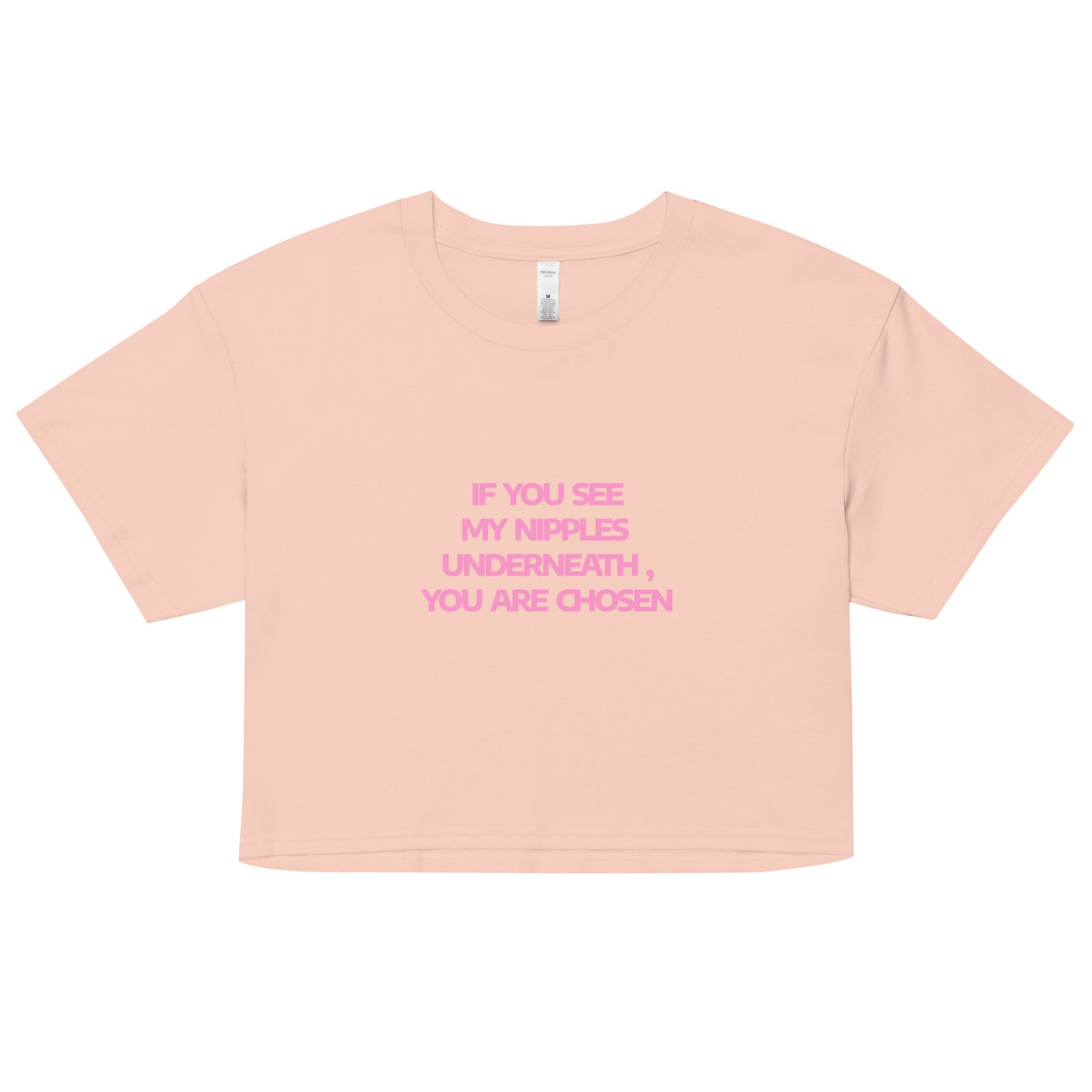 You Are Chosen Y2K Baby Tee | Divine Feminine Retro Cropped Top | Tumblr Destiny Baddie Tee - Image 9