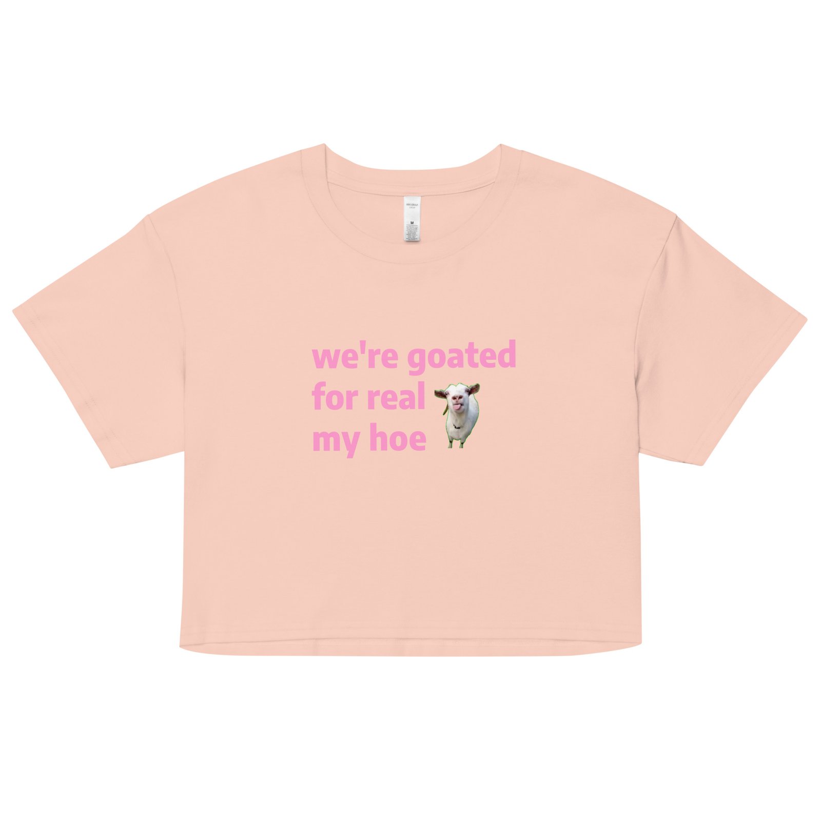 We're Goated Y2K Baby Tee | Legendary Girl Retro Cropped Top | Alt Meme Certified Top - Image 9