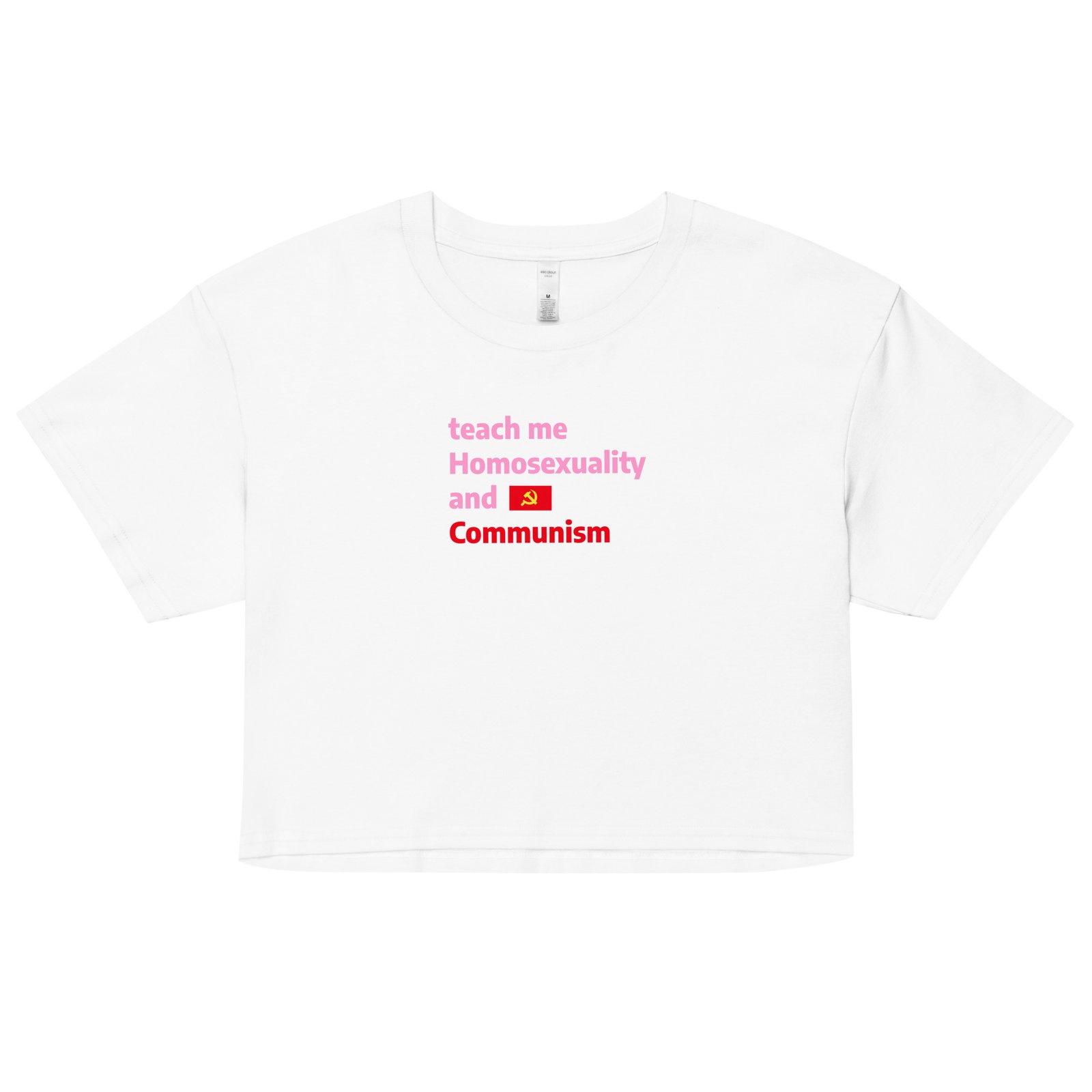 Teach Me Homosexuality and Communism Y2K Baby Tee | Gay Leftist Slut Retro Cropped Top | Educated and Horny Meme Tee - Image 19