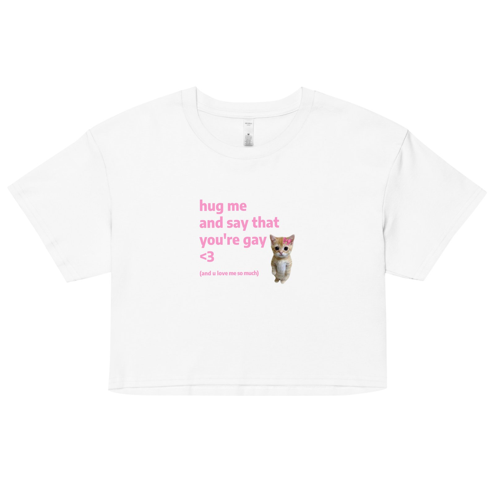 Hug Me and Say That Youre Gay and You Love Me Y2K Baby Tee | Queer Crybaby Cropped Top | Gay Sadgirl Meme Tee