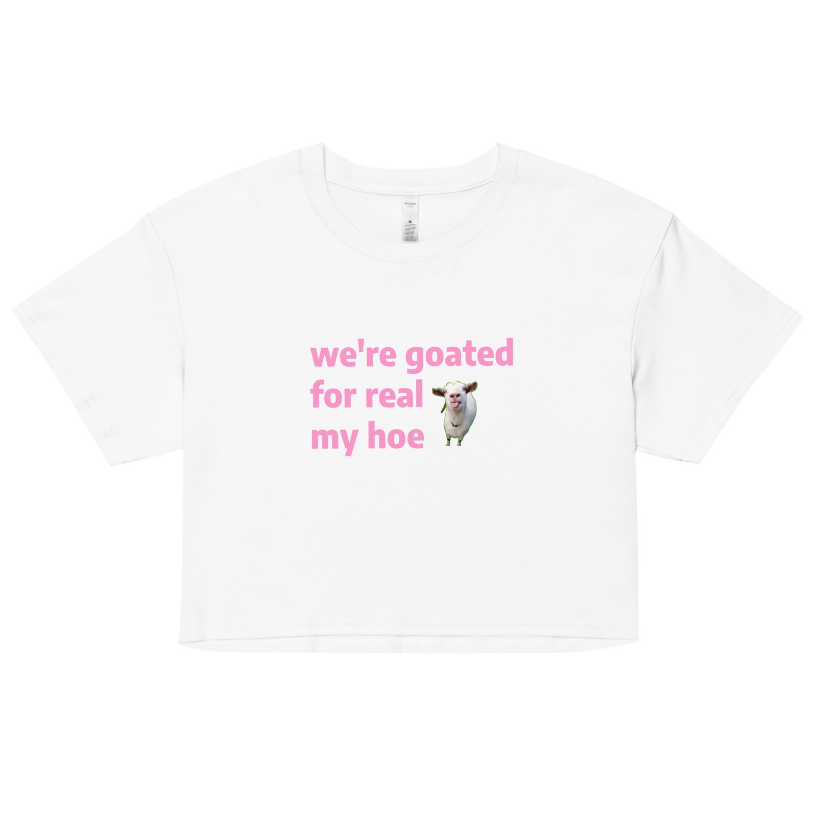 We're Goated Y2K Baby Tee | Legendary Girl Retro Cropped Top | Alt Meme Certified Top - Image 19